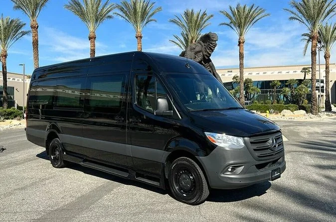 Ein schwarzer Mercedes-Van parkt unter Palmen